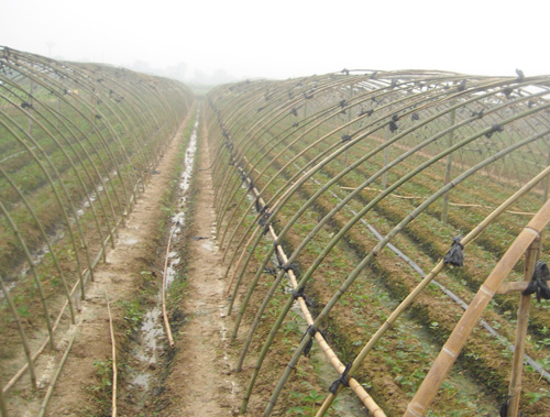 食堂承包-種植基地6丨食堂承包公司